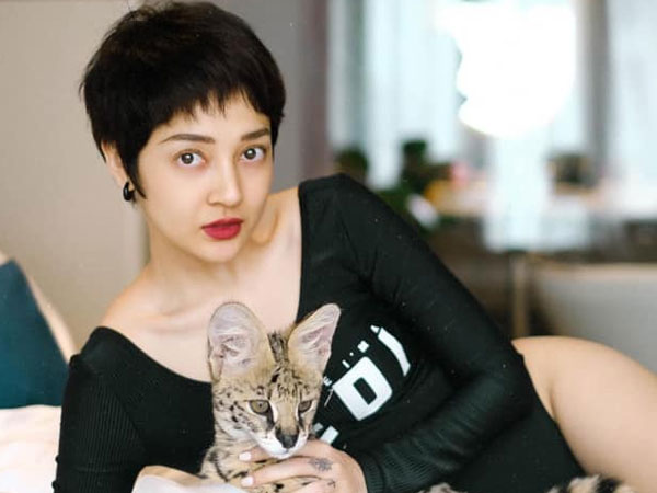 Valentine 2020: Thanh Hằng, Ngô Thanh Vân than ế, Bảo Anh chơi với mèo, Thu Minh được chồng tặng hàng hiệu