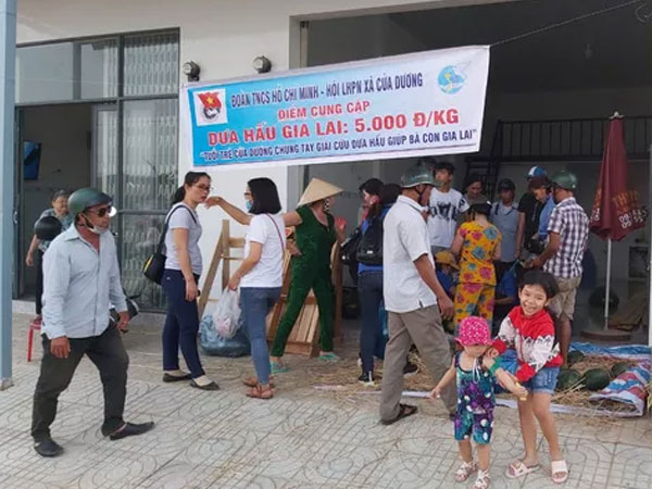 Người dân Phú Quốc chung tay 'giải cứu' hơn 24 tấn dưa hấu cho nông dân Gia Lai