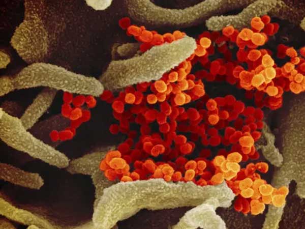 WHO công bố kết quả phân tích về mức độ nguy hiểm của Virus Corona