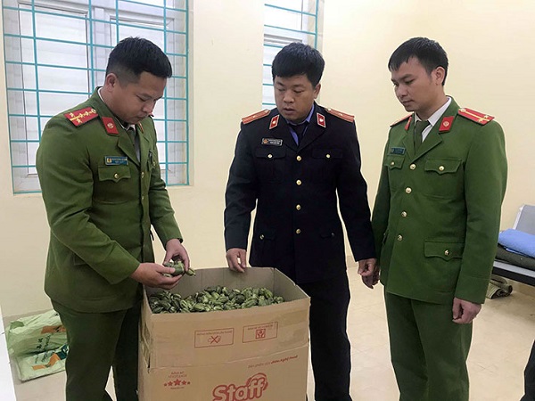 Bắt đối tượng vận chuyển 22kg quả thuốc phiện tươi tại Điện Biên