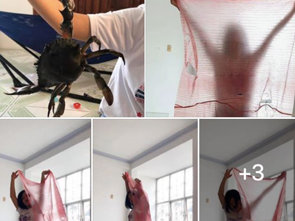 Trả giá được hẳn 20k để mua cua về ăn, anh chàng 'ngã ngửa' vì được khuyến mại thêm cả... cái áo mưa từ chiếc dây buộc cua