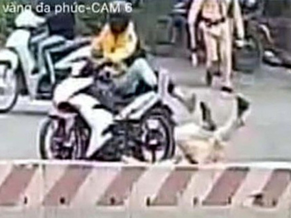 Đã xác định được danh tính đôi nam nữ tông CSGT gục giữa đường