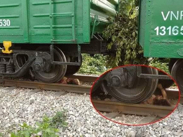 Lao vào đoàn tàu hỏa, cô gái trẻ bị cán cụt tay, chân
