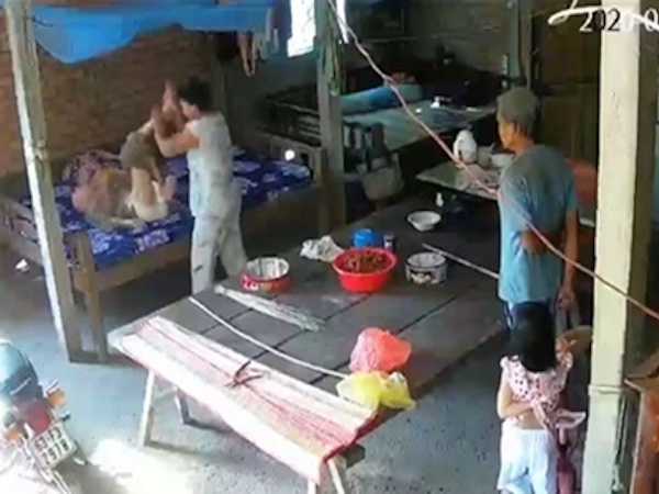 Cặp vợ chồng bạo hành mẹ già 88 tuổi bị tạm giữ