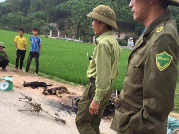 Nghệ An: Triệu tập nhiều người liên quan đến vụ đánh chết thanh niên nghi trộm chó