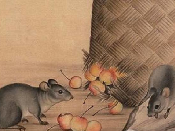 Tử vi chủ nhật ngày 1/3/2020 của 12 con giáp: Tý trở thành tâm điểm chú ý, Thân áp lực với công việc