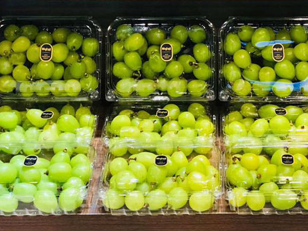 Nho rụng lìa cành, giá 1 triệu/kg vẫn tranh nhau mua