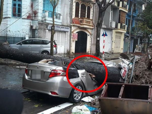 Ô tô bị cây đổ đè bẹp, biến dạng trong cơn mưa lớn ở Hà Nội