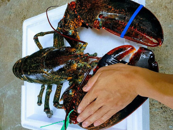 Nhà hàng hạ giá tôm hùm xanh 169.000 đồng/con, tôm Alaska giảm 'sốc' 700.000 đồng/kg