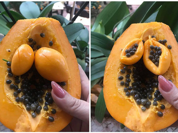 Cộng đồng mạng 'tròn mắt' với quả đu đủ 'mang thai đôi', ai cũng chia sẻ chóng mặt