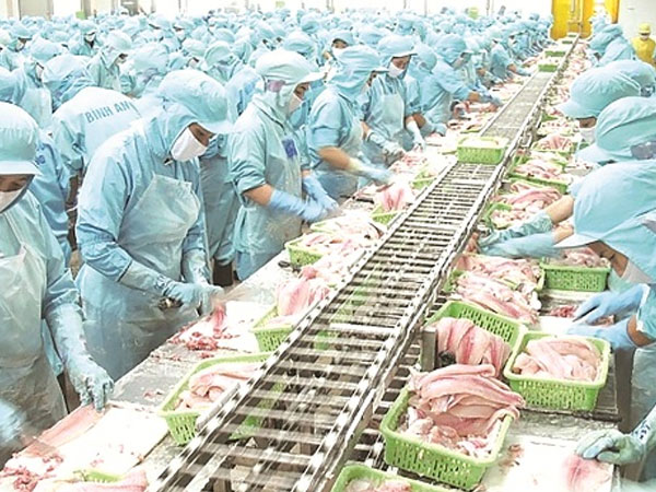 Ngành thủy sản sẽ “chật vật” nếu dịch kéo dài