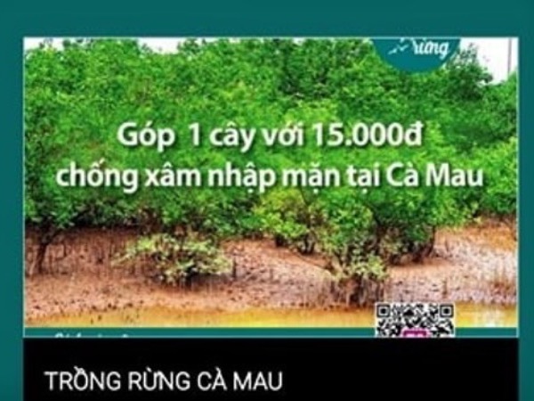 Vụ 'góp tiền trồng rừng' tại Mũi Cà Mau: Do không nắm rõ quy trình, thủ tục