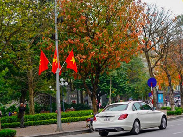 Mùa cây thay lá, Hà Nội đẹp đến nao lòng