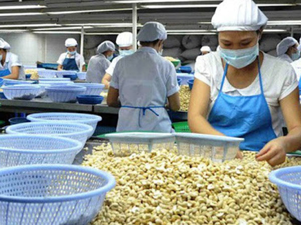 Nhật Bản ngày càng chuộng hàng nông sản Việt