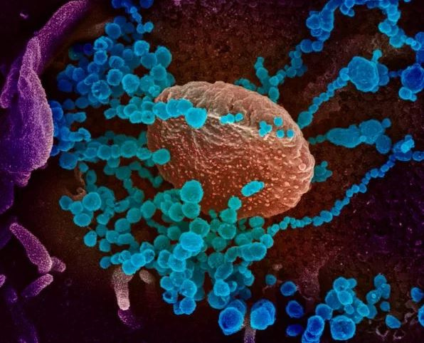 Virus SARS-CoV-2 hiện đã có 8 biến thể trên toàn Thế giới