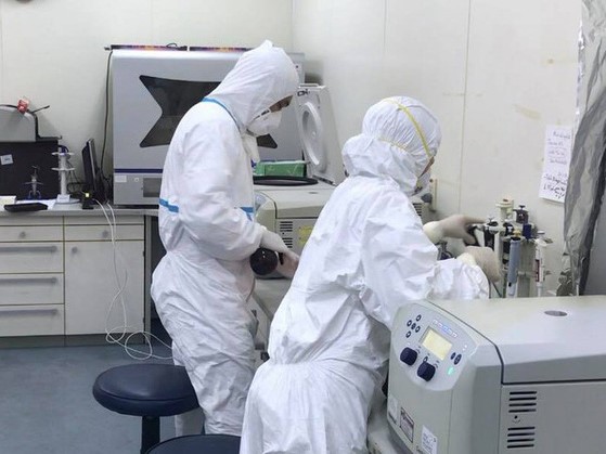 Virus gây dịch Covid-19 tại Việt Nam đã biến chủng