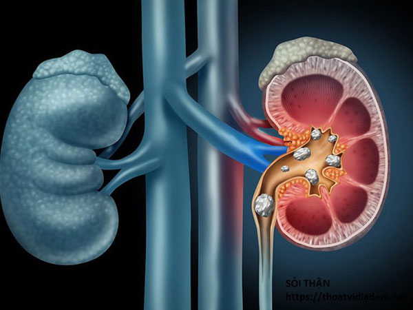 Ở độ tuổi 30, dù là nam hay nữ, bạn cũng cần đề phòng và kiểm tra gấp 5 vấn đề sức khỏe này nếu không muốn già xấu lại yếu ớt từ trong ra ngoài