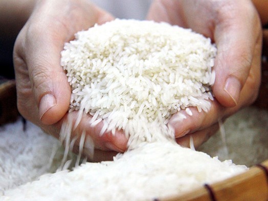 Mua gom gạo, thóc để đầu cơ có thể bị truy cứu trách nhiệm hình sự