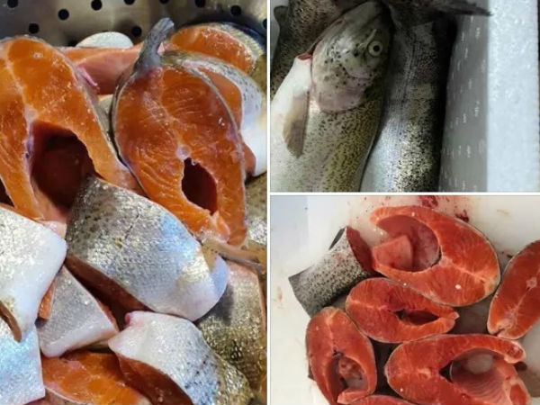 Cá hồi Sapa rẻ không thể tin được