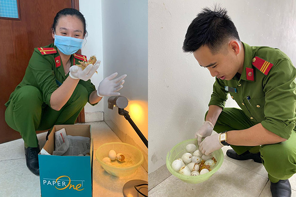 Được dân biếu quá nhiều trứng, cán bộ công an 'dở khóc dở cười' khi bỗng dưng trở thành mẹ bất đắc dĩ của những chú vịt