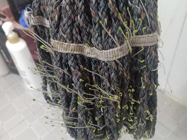Hoảng hồn với chiếc gậy lau nhà mọc mầm cây lởm chởm, nhưng người mẹ trẻ lại tiết lộ bí mật khiến dân tình cười lăn