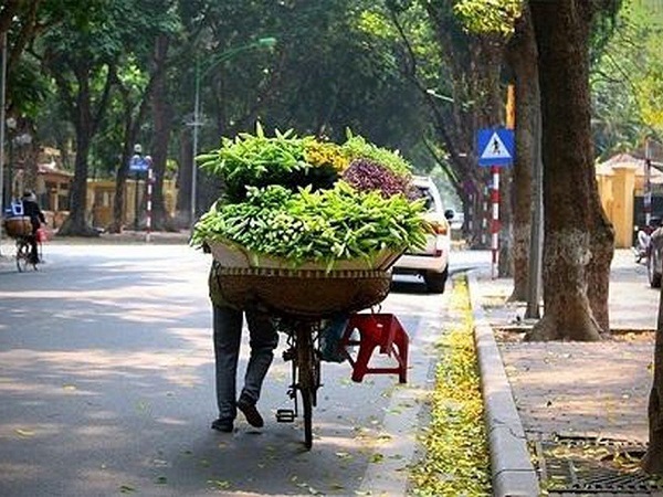 Dự báo thời tiết ngày 15/4: Miền Bắc đêm rét, ngày nắng; Miền Nam vẫn mưa dông
