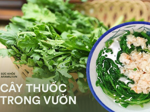 Đau đầu, ho không dứt do thay đổi thời tiết: Chuyên gia khuyên hãy bổ sung loại rau này vào bữa ăn ngay