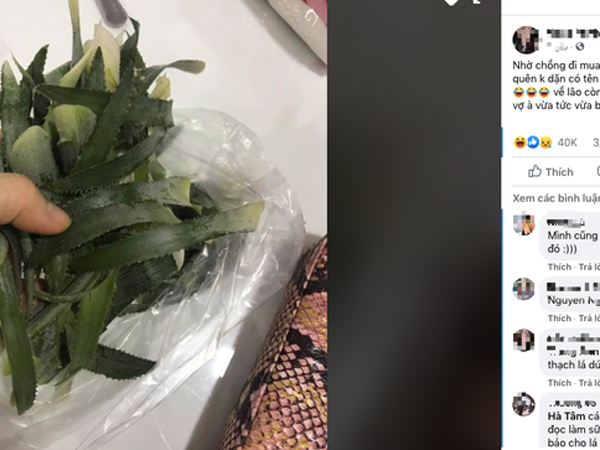 Được vợ nhờ đi mua ít lá dứa về đồ xôi, chồng trẻ hí hứng được bà bán hàng 'tặng luôn' nhưng về đến nhà mới biết được sự thật cay đắng