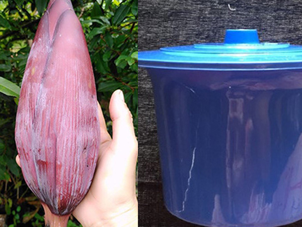 Cô gái khóc thét đòi chia tay vì thường xuyên nhận những món quà khó đỡ từ bạn trai, dân mạng xem xong liền phán: 'Quyết định đúng, chẳng oan!'