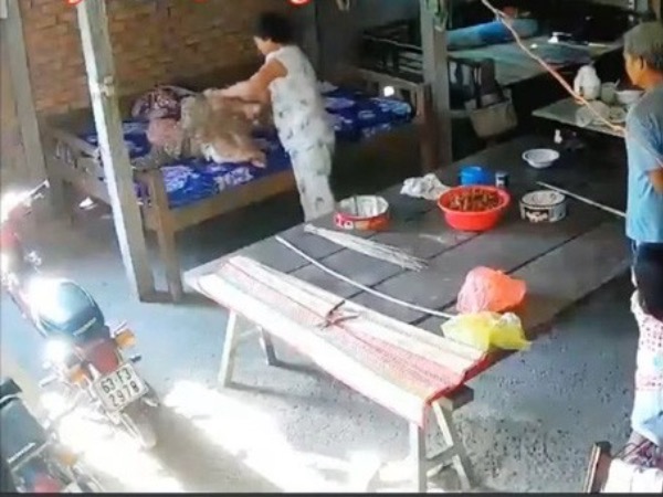 5 năm 6 tháng tù cho vợ chồng ngược đãi dã man mẹ già 88 tuổi