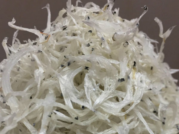 Loại cá trong suốt, mềm hơn bún giá hơn 2 triệu đồng/kg, có tiền cũng khó mua được