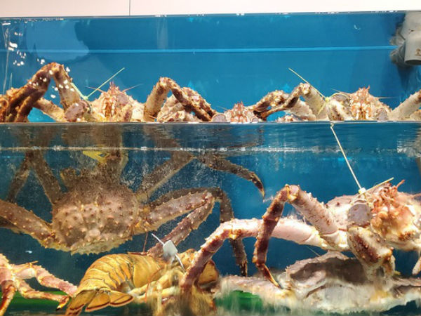 Nhà hàng ăm ắp tôm hùm 4kg, tặng mực lá, ngao cồi cho khách mua cua hoàng đế đợt lễ 30/4