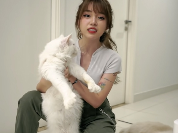 Linh Ngọc Đàm 'bóc' giá dàn đại boss: Có con gần 100 triệu đồng, mỗi đứa một tính chiều lòng mệt nghỉ