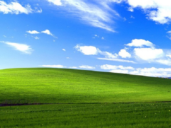 Hình nền huyền thoại trên Windows XP một thời: Được Microsoft trả hơn 100.000 USD vào năm 2000, đến nay vẫn xanh tốt như ngày nào