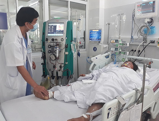 Ăn phải nấm độc hái sau mưa, đôi vợ chồng trẻ cùng con gái 12 tuổi nguy kịch