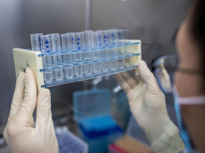 Phát hiện 'họ hàng gần gũi' của virus SARS-CoV-2 trên loài dơi