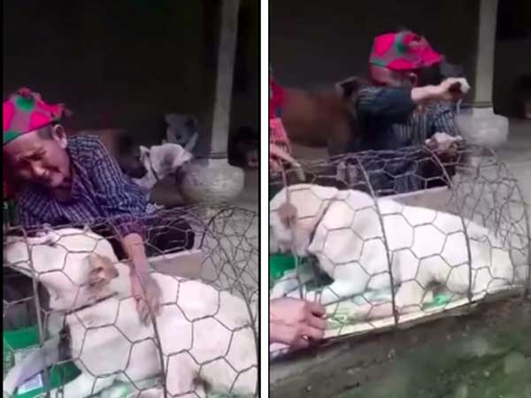Cụ bà vùng cao rơi nước mắt khi phải bán chú chó đã nuôi từ bé và cái kết đẹp khiến nhiều người ấm lòng