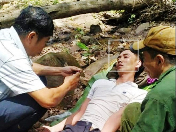 Bị ong đốt nguy kịch khi cùng bố vợ vào rừng lấy mật