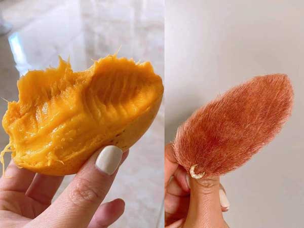 Làm kẹp tóc từ... hột xoài tặng bạn thân: Nghe tiết kiệm nhưng dân tinh ý liền chỉ ra một chi tiết khiến chủ nhân ý tưởng lỗ nặng