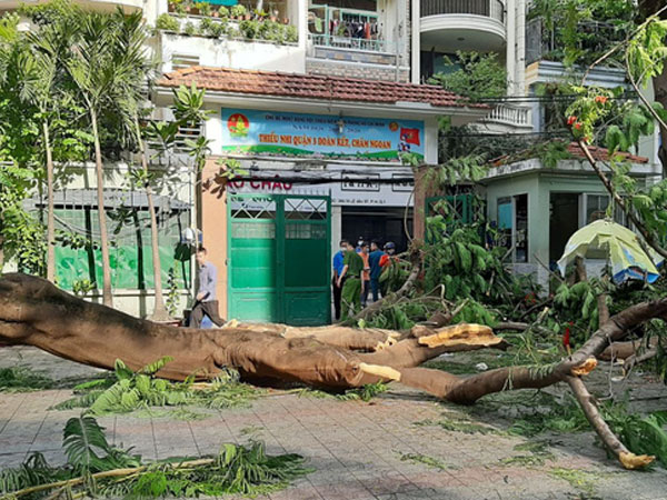 Xót xa hoàn cảnh nam sinh lớp 6 tử vong do bị cây phượng đè: Gia đình thuộc hộ cận nghèo của quận, mẹ mới sinh em được 3 ngày