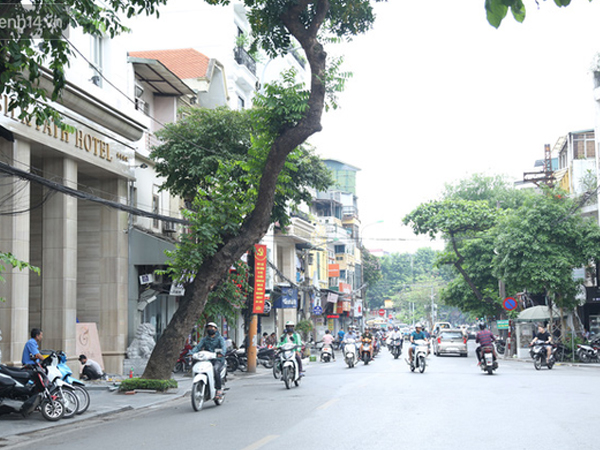 Ảnh: Cận cảnh hàng loạt cây xanh mục gốc, ngả hướng ra giữa đường ở Hà Nội