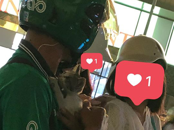 Phát cuồng với hình ảnh siêu dễ thương của nam thanh niên ôm mèo lang thang, ngơ ngác đi tìm chủ mới cho nó khắp phố