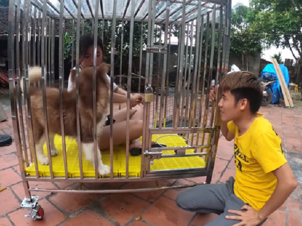 Con trai Bà Tân Vlog gây tranh cãi dữ dội khi nhốt em gái vào chuồng chó để trả thù