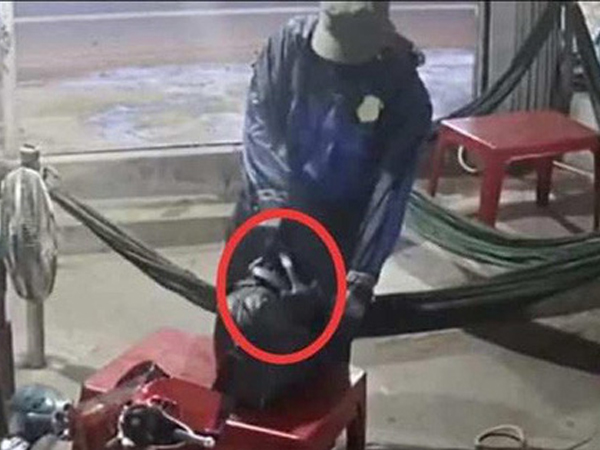 Vào quán cà phê, người đàn ông bất ngờ dùng búa đập đầu chị em chủ quán