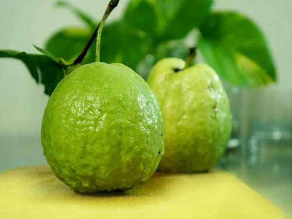 Quả ổi là 'kho dinh dưỡng' tuyệt vời nhưng khi ăn cần nắm rõ 6 nguyên tắc sau để tránh gây hại cho các cơ quan bên trong cơ thể