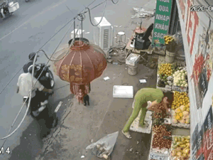 Video: Màn trộm chó ngay sau lưng chủ nhanh kỷ lục chỉ 3 giây
