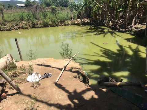 Kéo điện ra ao chích cá, hai cha con bị điện giật tử vong