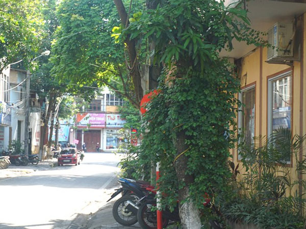 Loạt biển báo giao thông mới gây khó hiểu ở thành phố Lào Cai