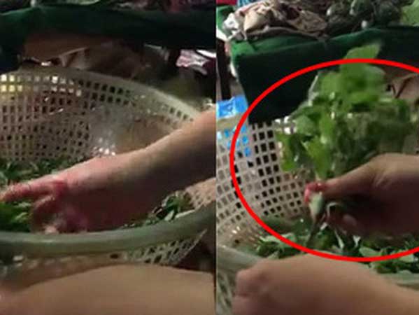 Đến lượt hội phụ huynh 'đầu quân' cho hội ghét bếp, lại còn đóng góp cách nhặt rau ngót siêu đỉnh thế này