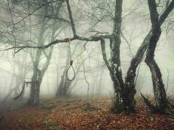Khu rừng tự sát Aokigahara: Nơi tăm tối và im lặng tuyệt đối với những câu chuyện rùng rợn đầy ám ảnh